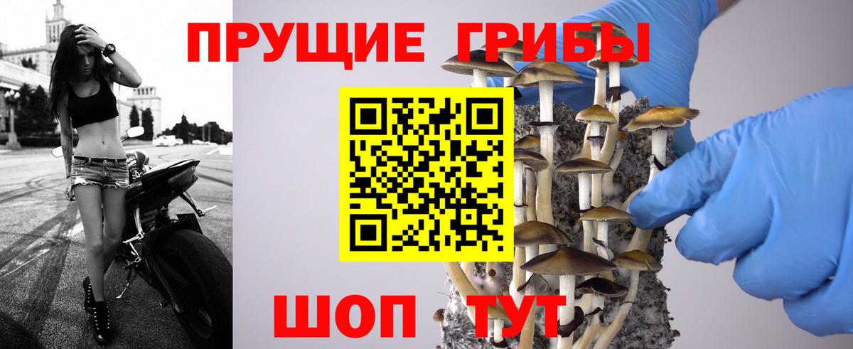 APVP Шахты