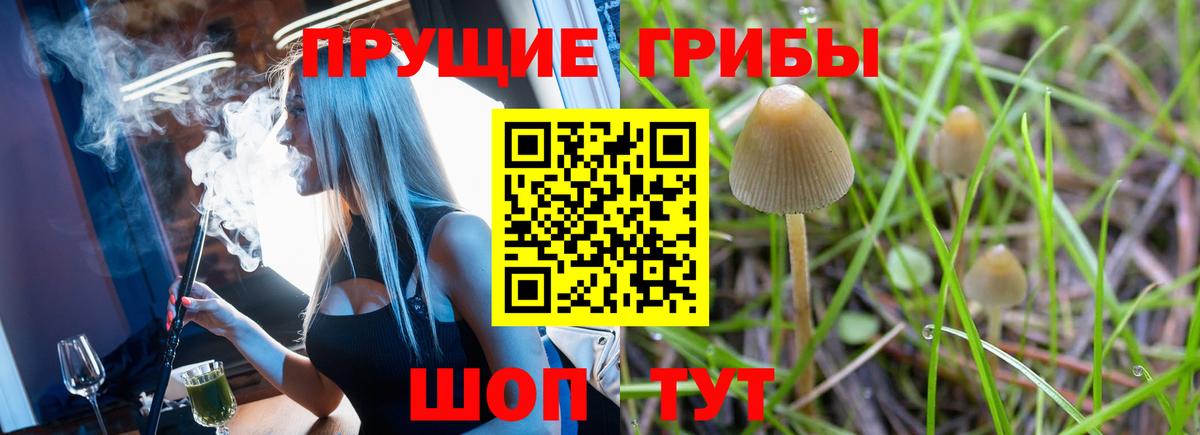 Псилоцибиновые грибы мухоморы  Вход с VPN  Галлюциногенные грибы мухоморы  Шахты 