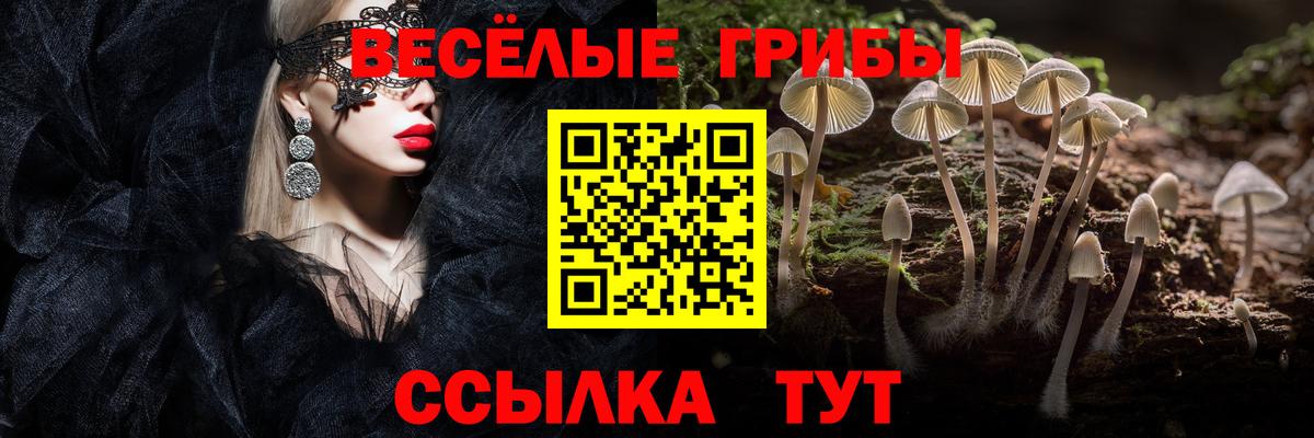 Псилоцибиновые грибы Psilocybine cubensis Шахты